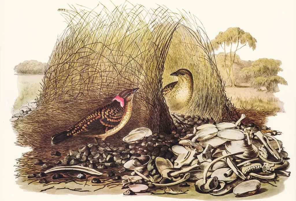 classic blog image 6